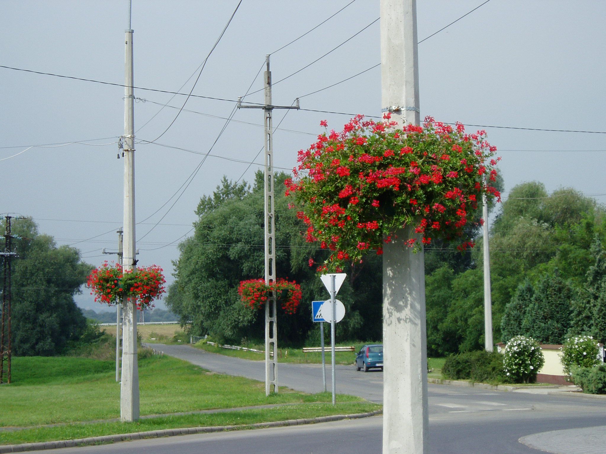 30-literes-felkorives-oszlora-szerelheto-viragtarto.jpg